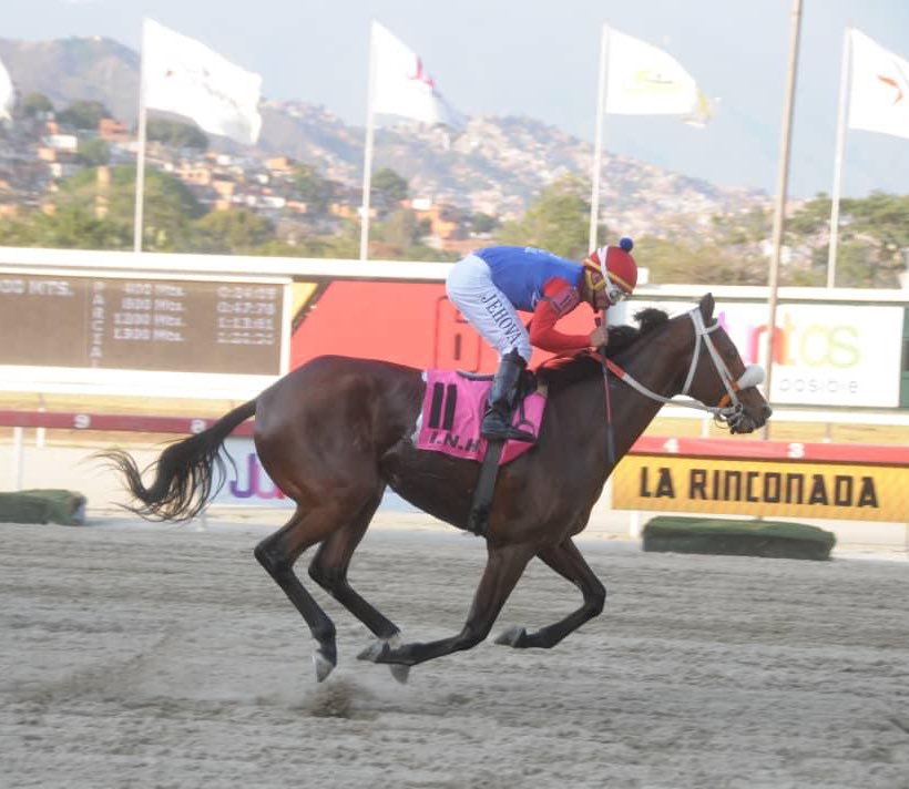 Pimentel