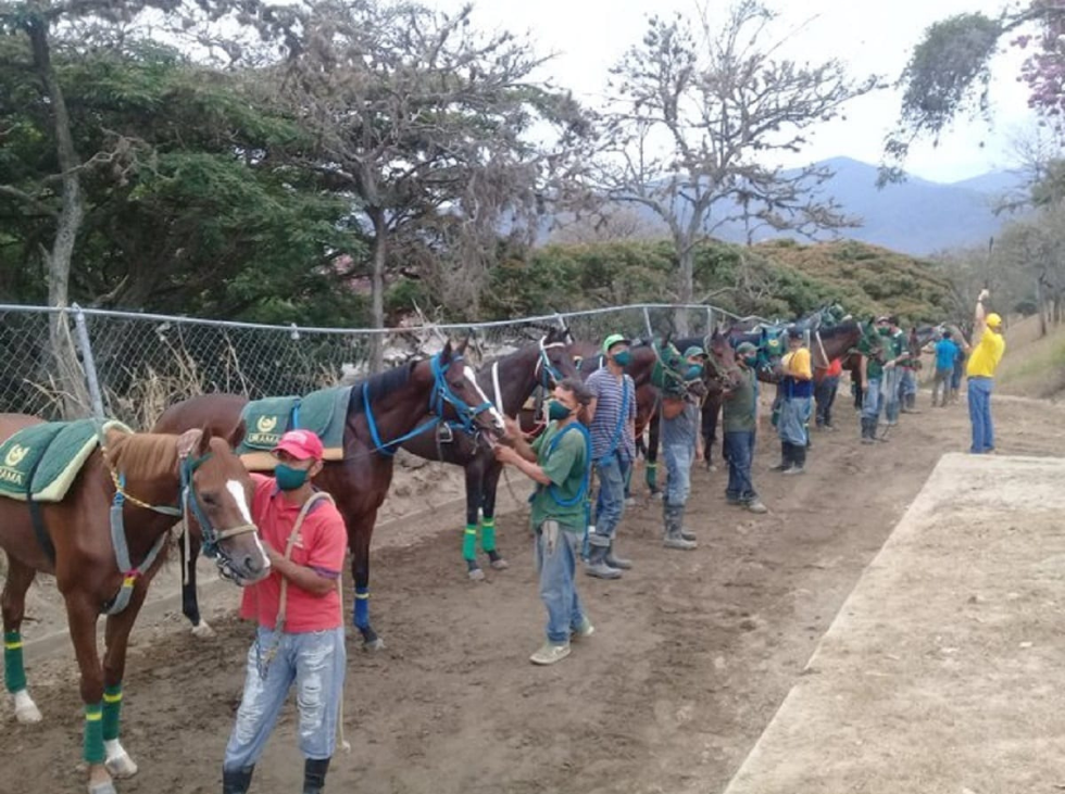 Caballerizas
