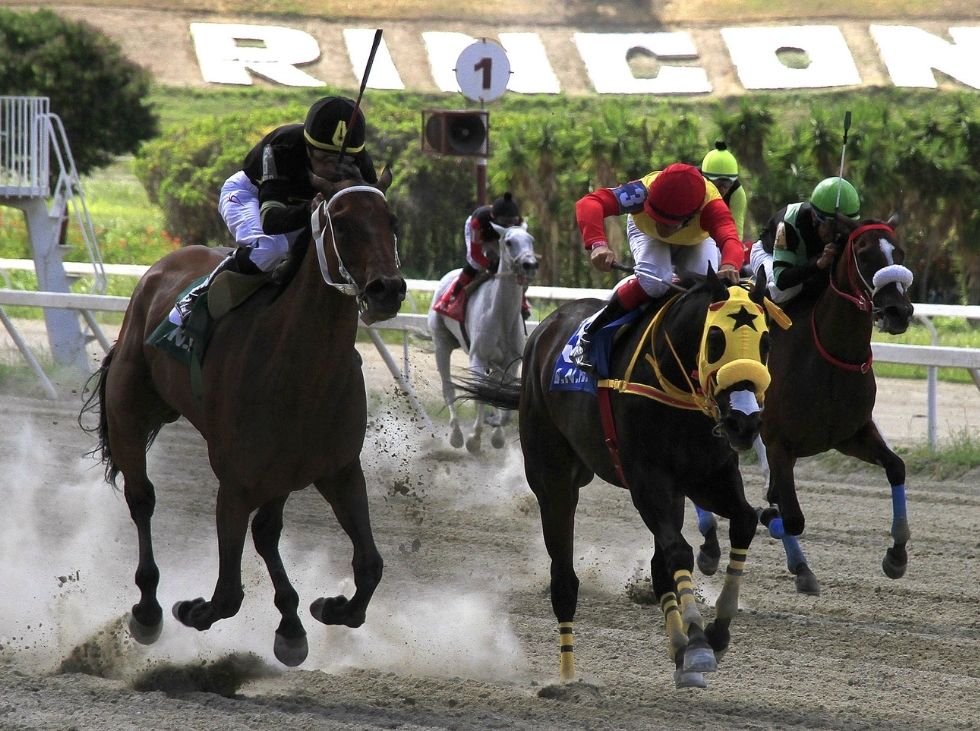 Hipismo