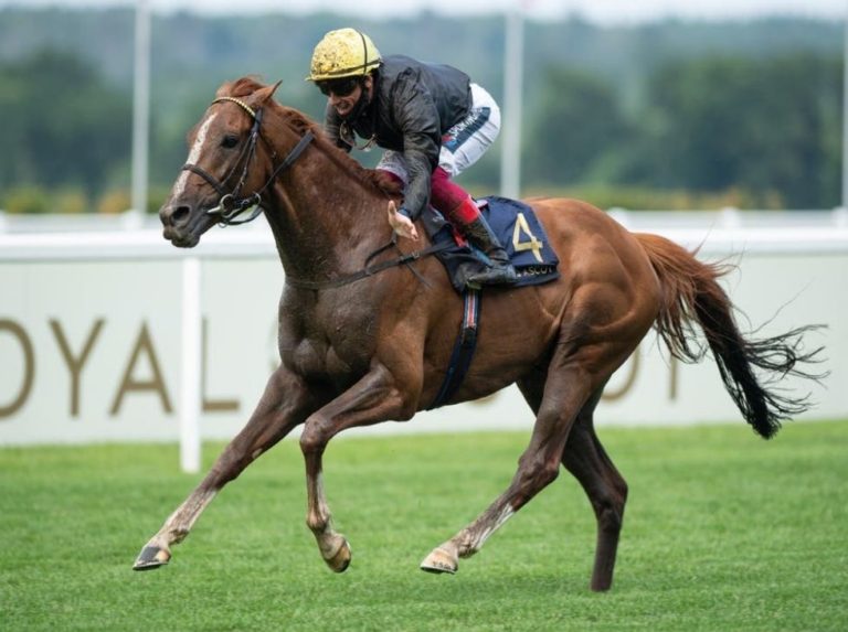 De Pedigree | Stradivarius por su 4ta Gold Cup en Ascot