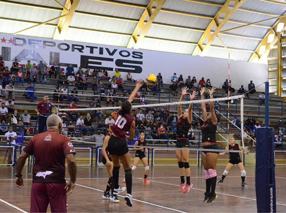 voleibol femenino