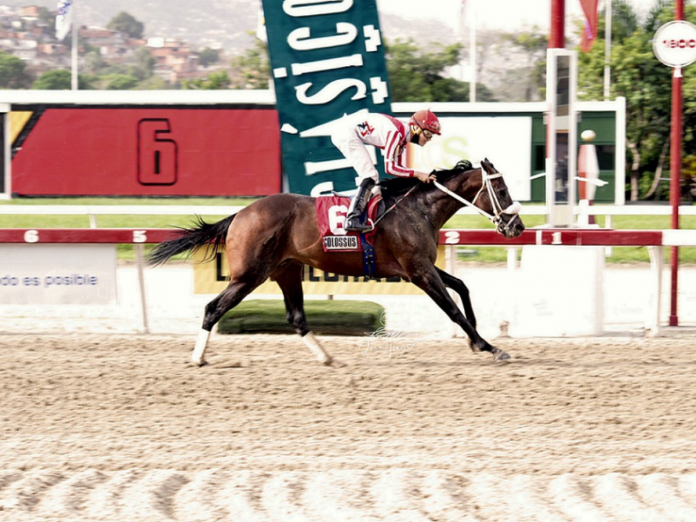Caballo Colossus