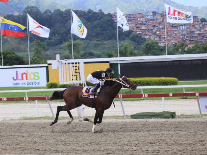 Futuro Caballo
