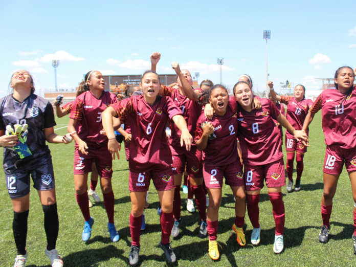 Vinotinto Vinotinto