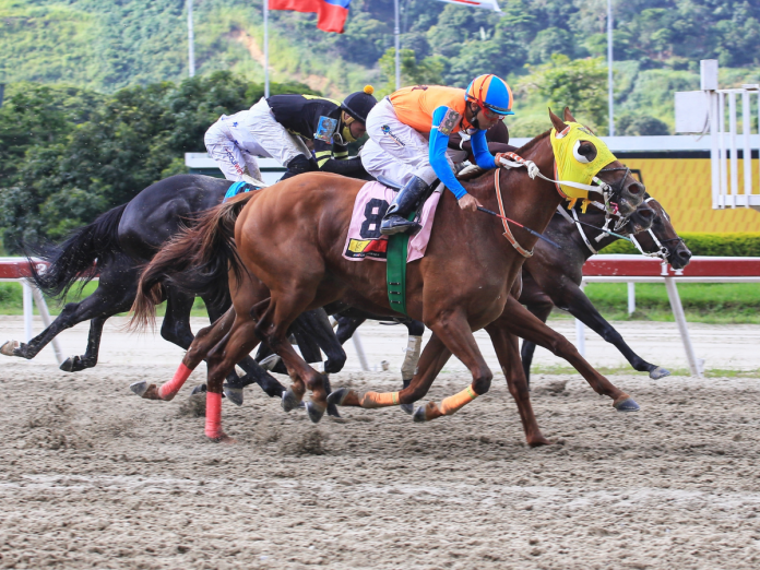 Hipismo