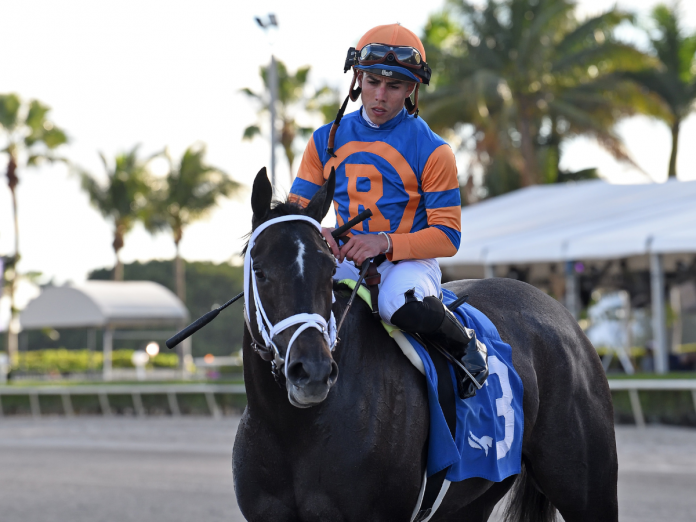 Hipismo