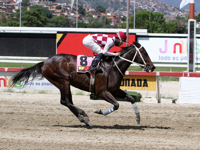 Hipismo