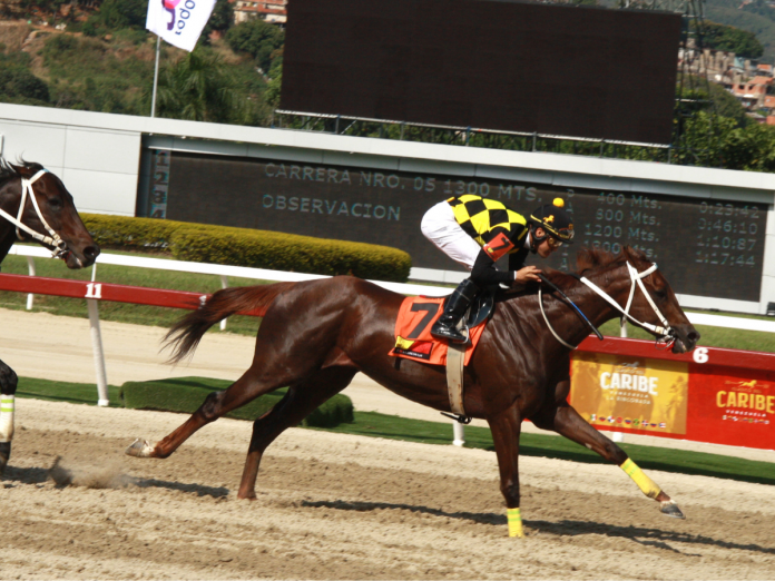 Hipismo