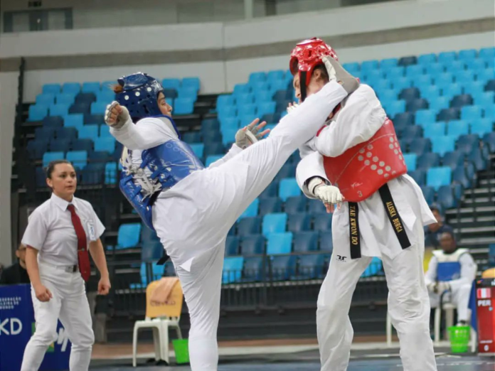 Taekwondo. Taekwondo.