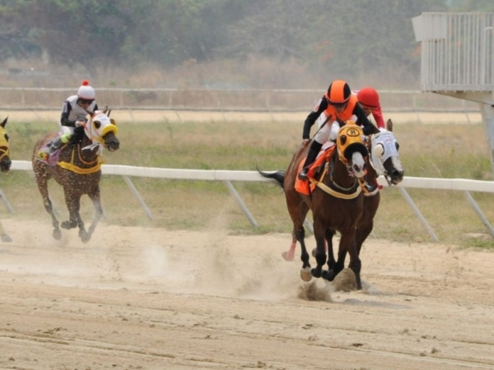 Hipismo