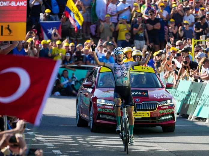 Wout Poels