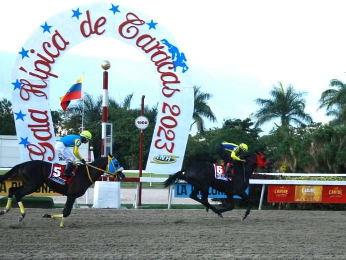 Gala Hipico Gala Hipica