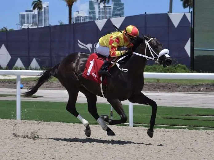Grand Mo The First (Foto: gulfstream) Grand Mo The First (Foto: gulfstream)