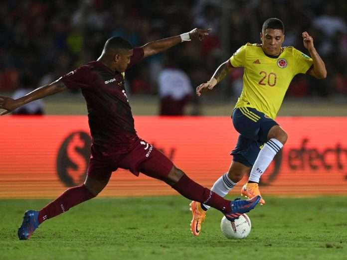 Vinotinto