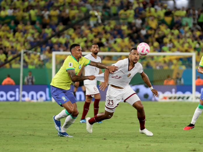 Vinotinto Vinotinto