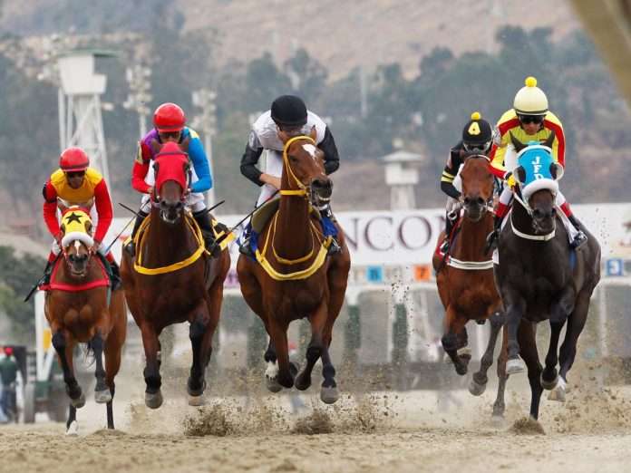 HIPISMO HIPISMO