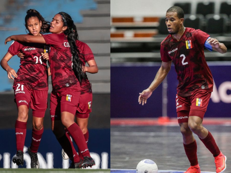 Vinotinto