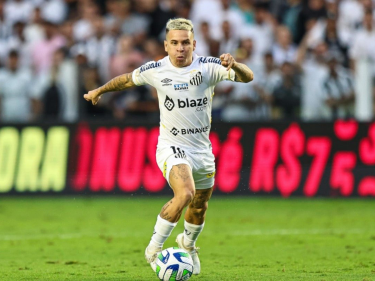 ¿Dónde jugarán los Venex en 2024?