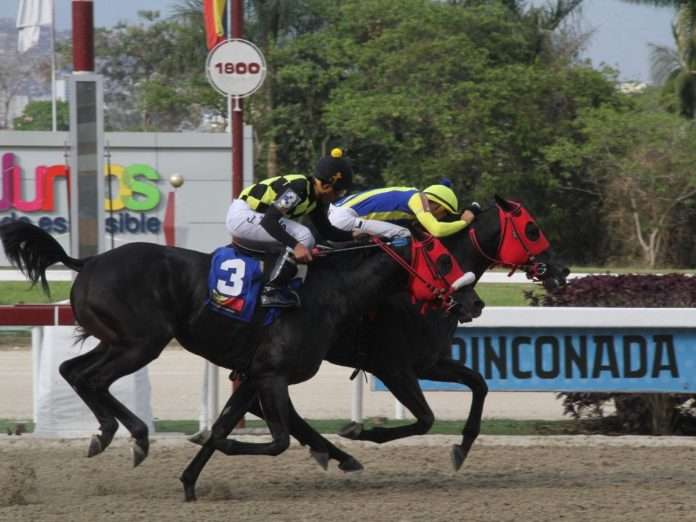 La Rinconada La Rinconada