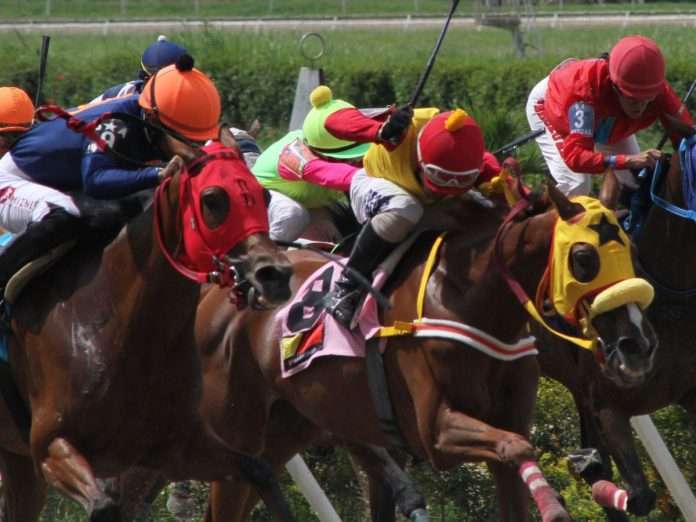 Hipismo Hipismo