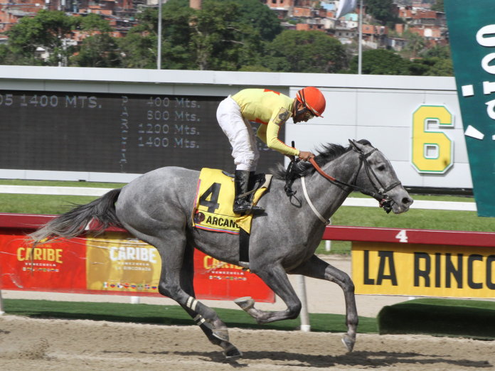Arcano Arcano. (Foto: Cheo Pacheco)