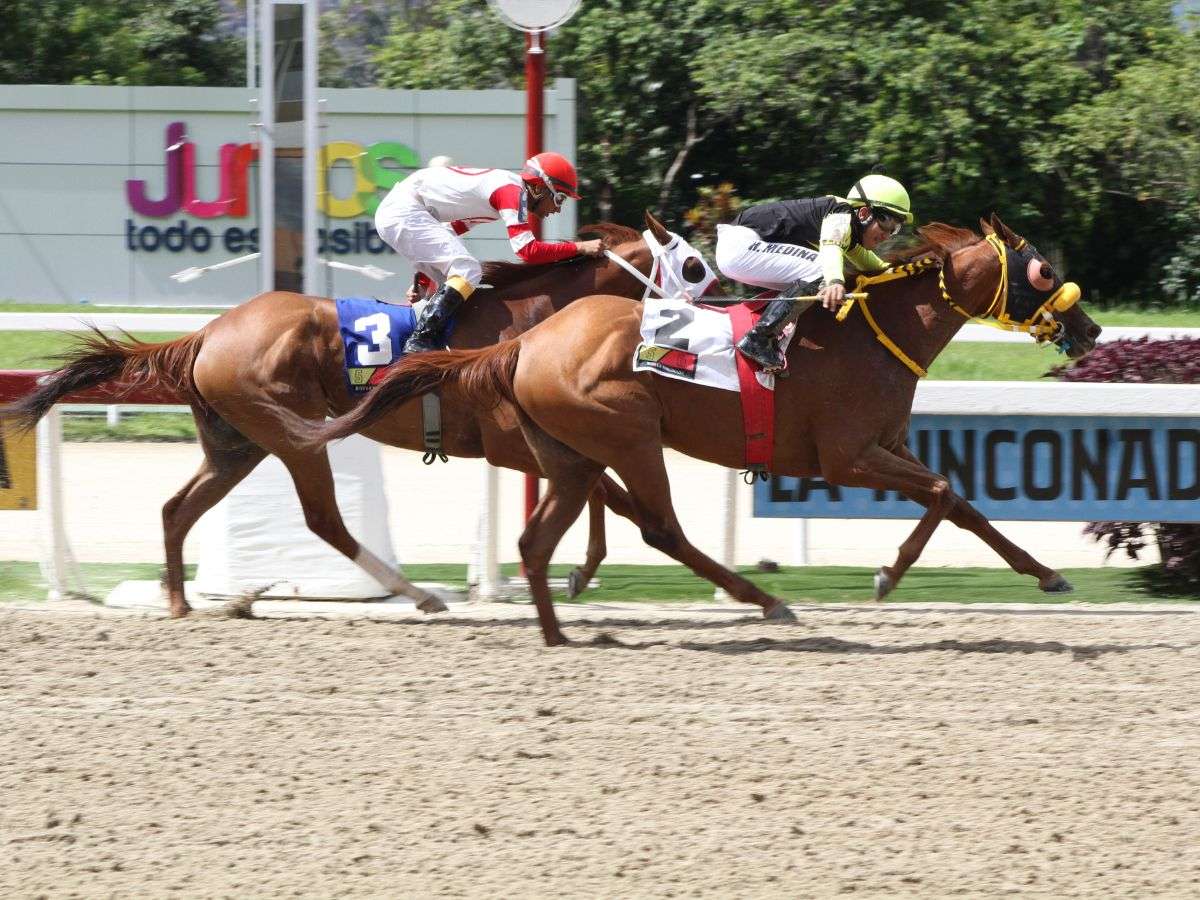 RESULTADOS DOMINICALES: La Rinconada en la pista