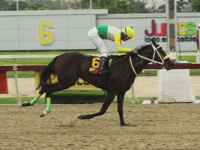 Parrillero