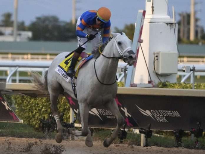 White Abarrio (AP) White Abarrio (AP)