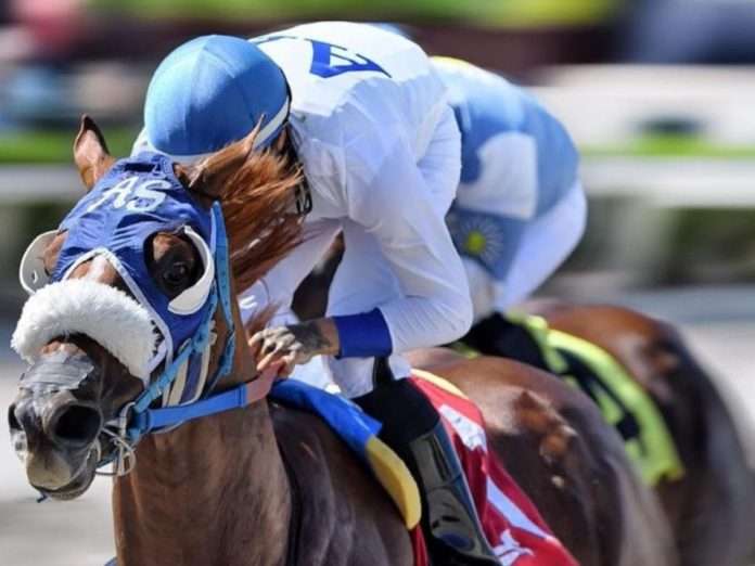 Il Miracolo (foto: gulfstream) Il Miracolo (foto: gulfstream)