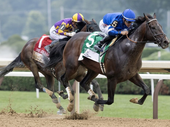 Sovereignty Sovereignty. (Foto: Barbara D. Livingston/Daily Racing Form)