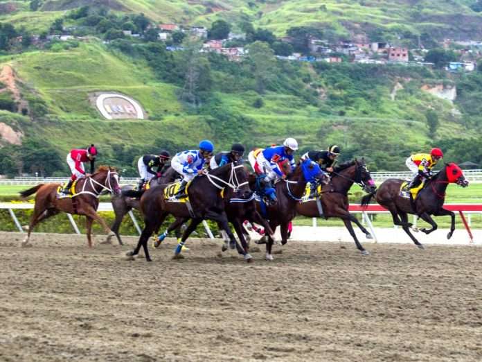 La Rinconada - Coche - Queen Vision