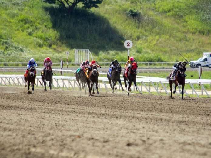 Caballos La Rinconada - INH Caballos La Rinconada - INH