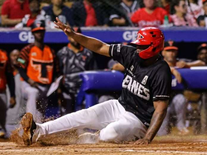 Leones del Escogido (Foto: Prensa Leones) Leones del Escogido (Foto: Prensa Leones)