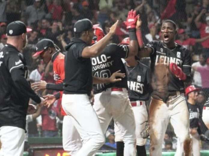 Leones del Escogido (Foto: Prensa Leones) Leones del Escogido (Foto: Prensa Leones)