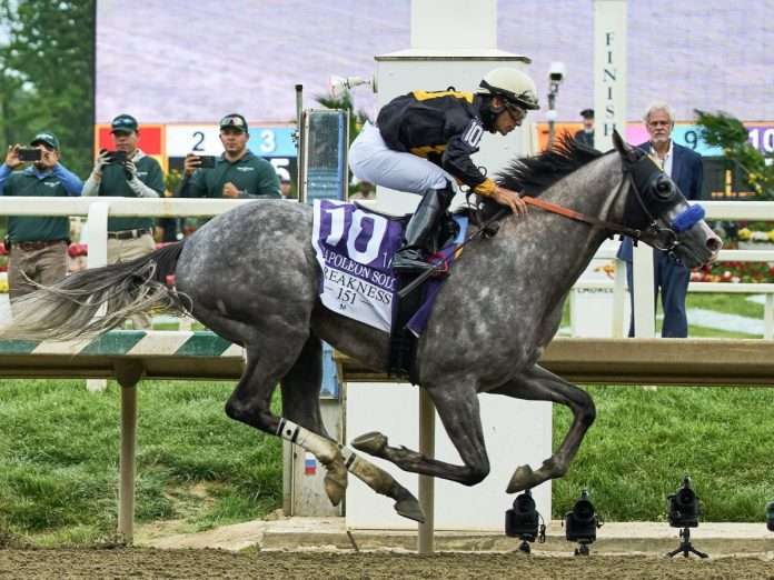 Napoleon Solo (Foto: foto: laurel park)