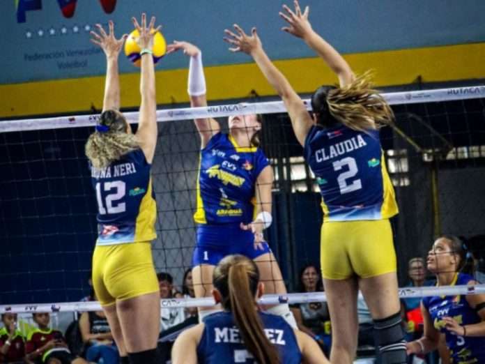 Voleibol Voleibol